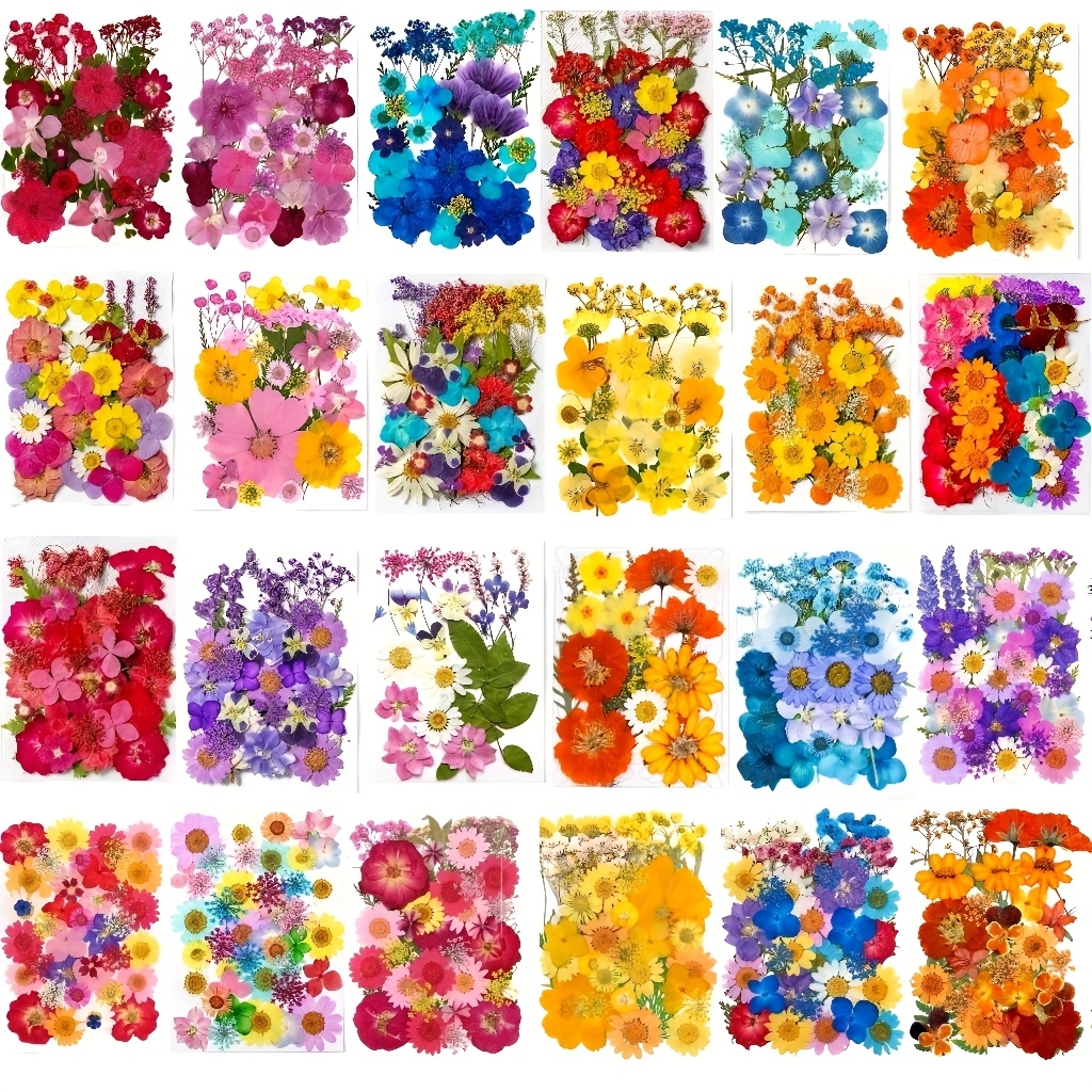 Pressed Flower Frame - 500pcs of Random Materials for Pressed