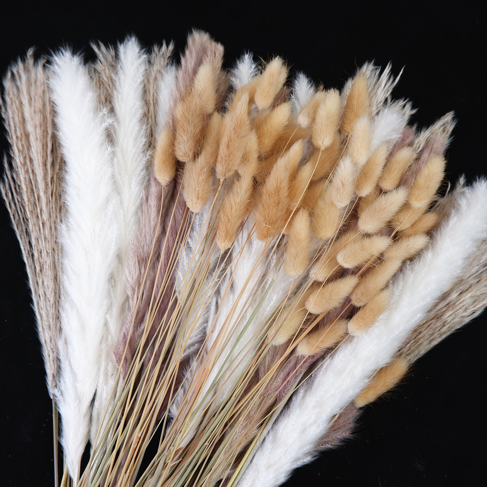 Dried Flower Bouquet - Dried Pampas Grass Decor 80-110 PCS