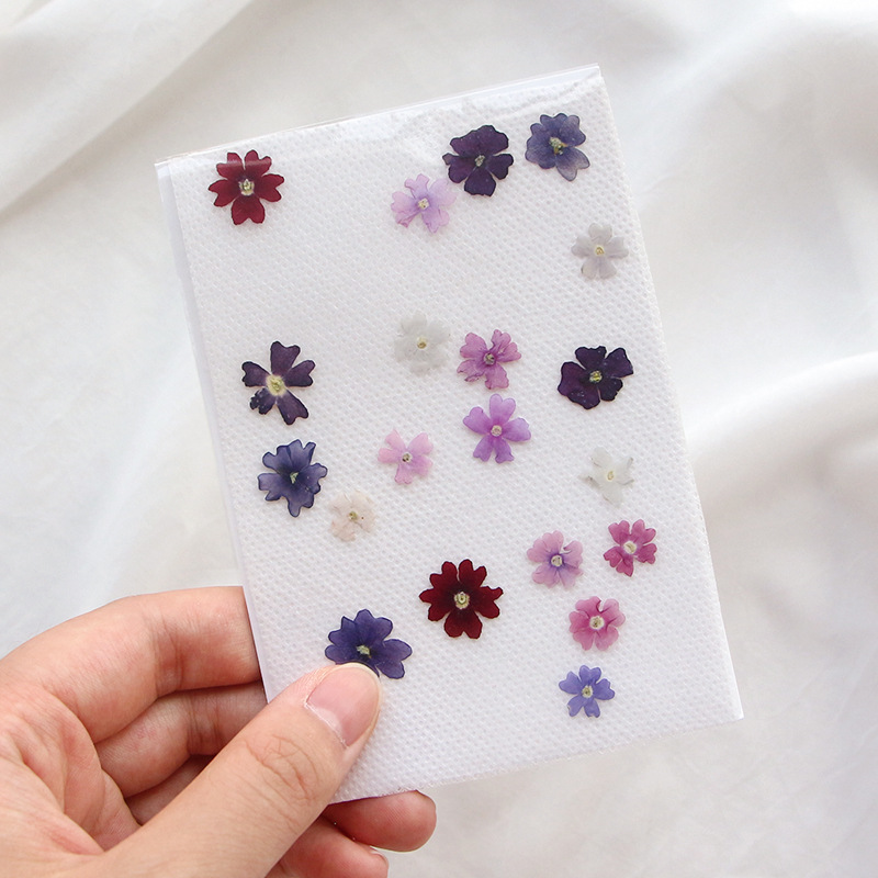 40pcs/lot,Mini Beauty Cherry p - Pressed Flower Frame reseña y precio