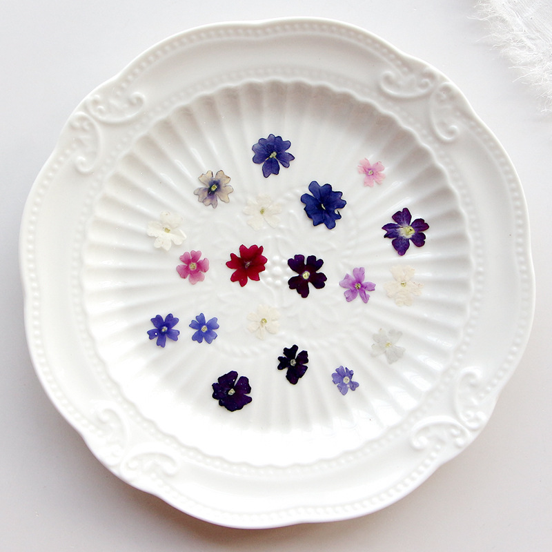 40pcs/lot,Mini Beauty Cherry p - Pressed Flower Frame reseña y precio