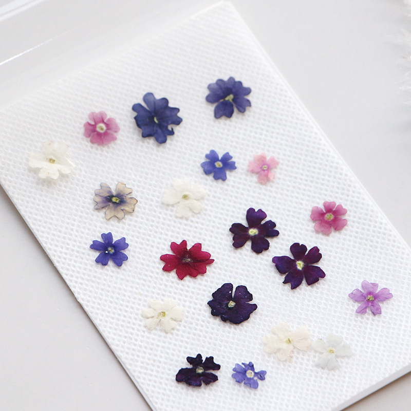 40pcs/lot,Mini Beauty Cherry p - Pressed Flower Frame reseña y precio