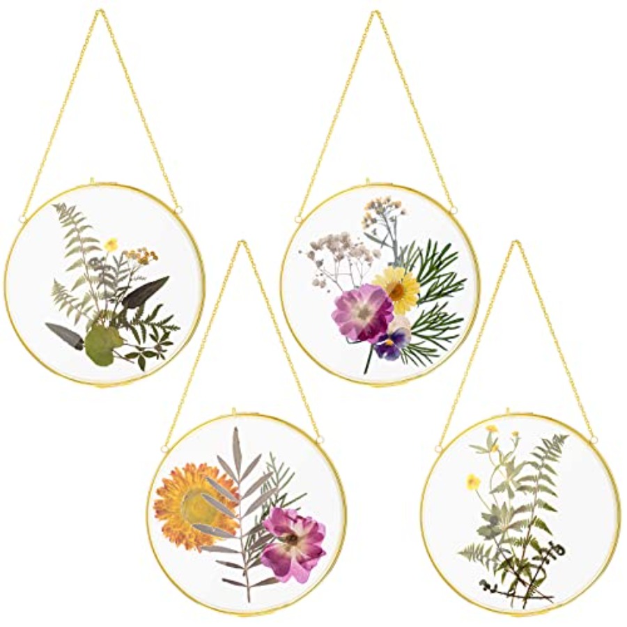Pcs Double Glass Frame for Pre - Pressed Flower Frame reseña y precio
