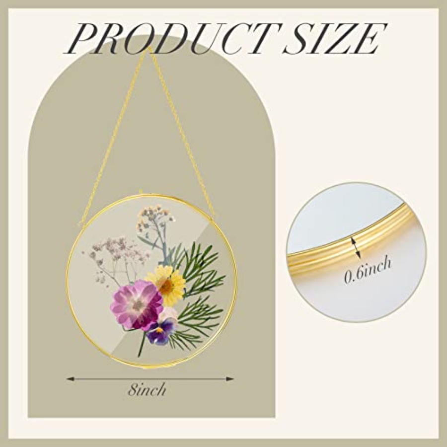Pcs Double Glass Frame for Pre - Pressed Flower Frame reseña y precio