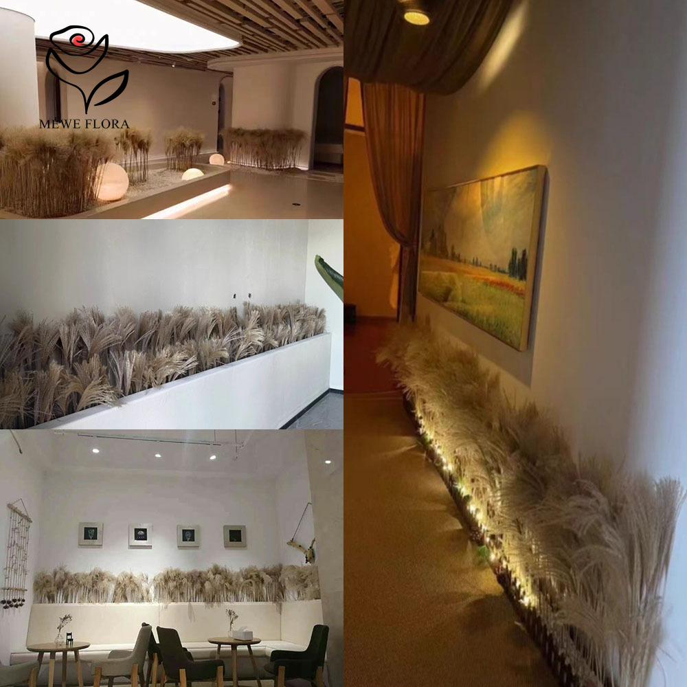 200PCS Natural Dried Fluffy Re - Dried Flower Bouquet reseña y precio