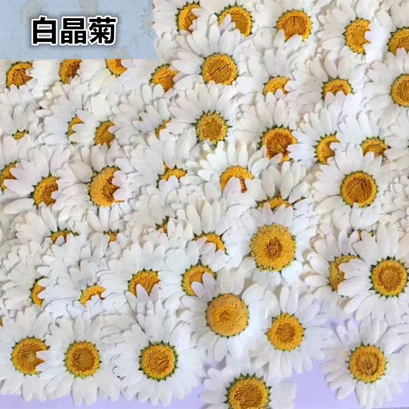 100Pcs Natural White Crystal C - Pressed Flower Frame reseña y precio