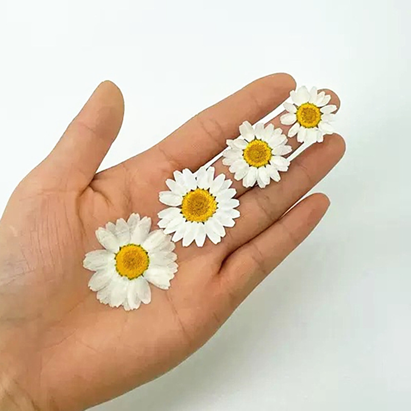 100Pcs Natural White Crystal C - Pressed Flower Frame reseña y precio