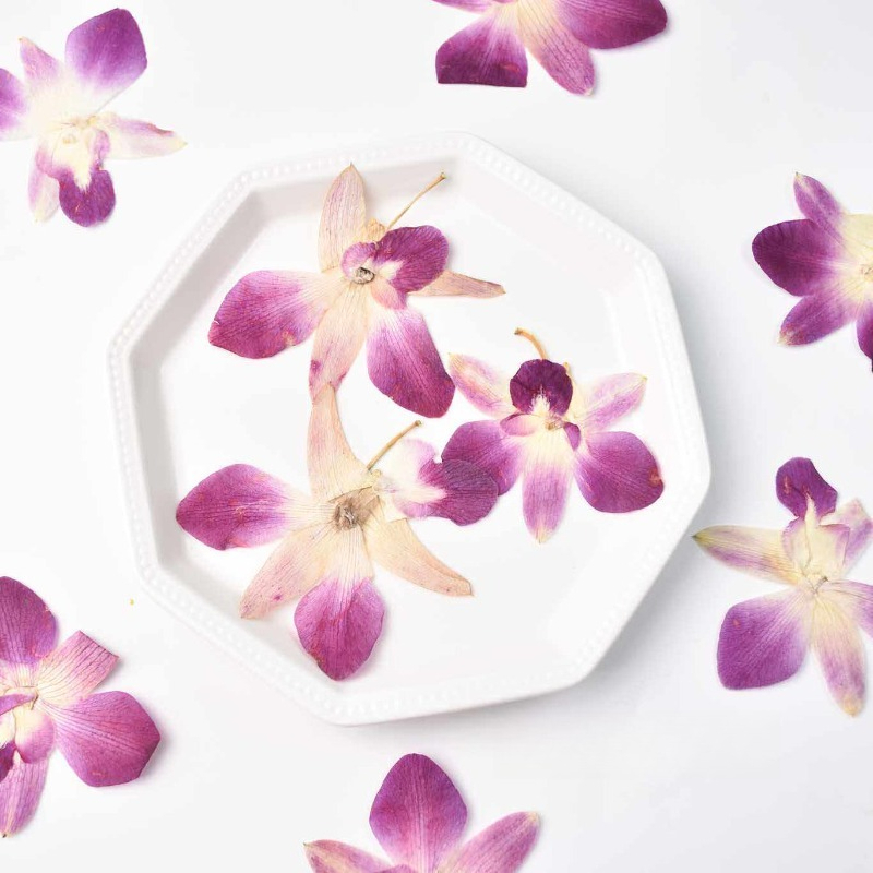 4pcs,Real Pressed Butterfly Or - Pressed Flower Frame reseña y precio