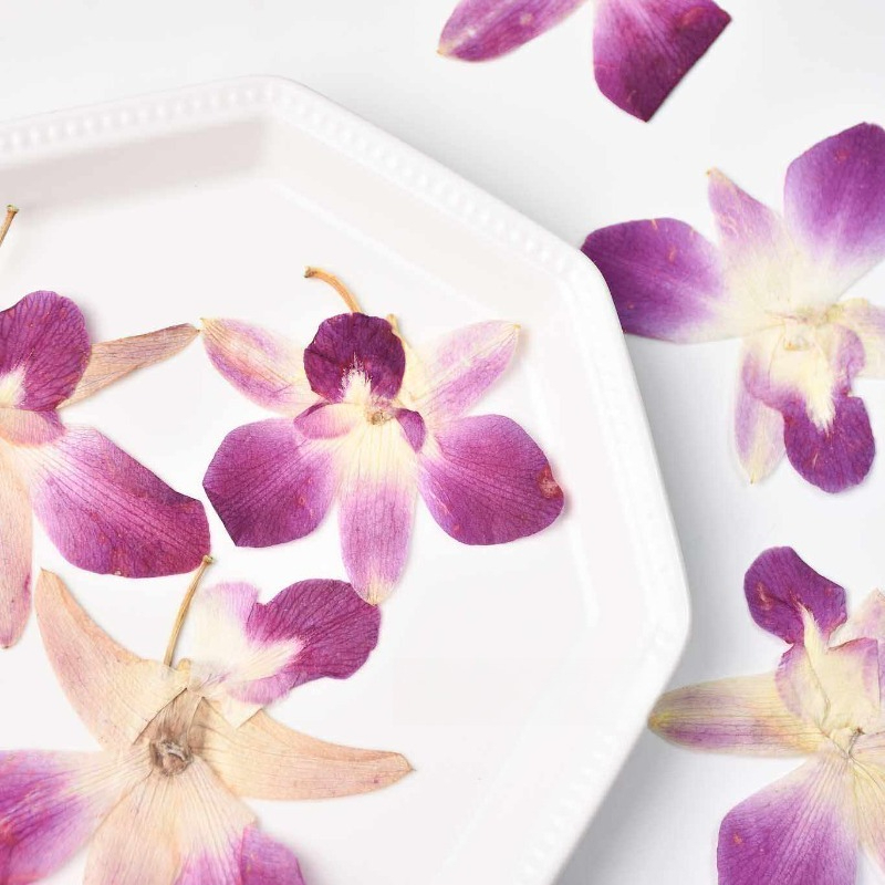 4pcs,Real Pressed Butterfly Or - Pressed Flower Frame reseña y precio