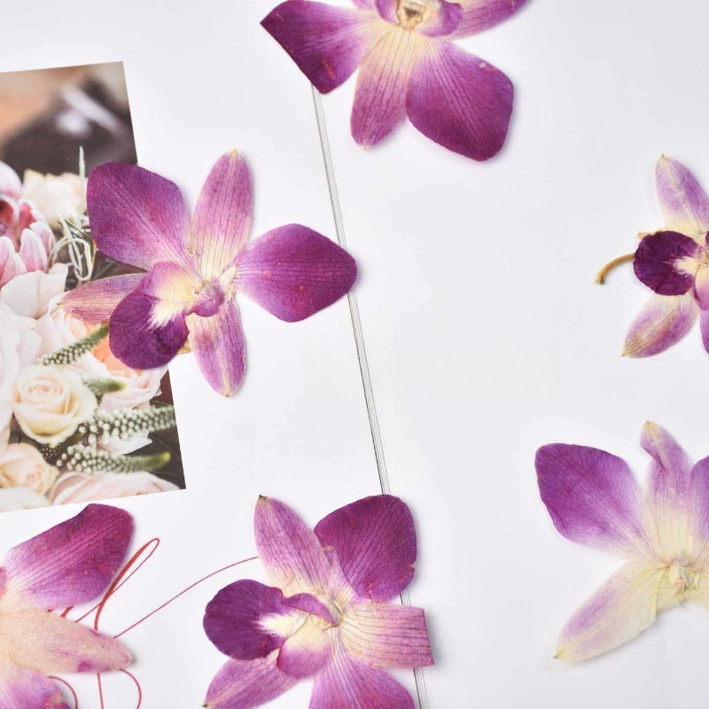 4pcs,Real Pressed Butterfly Or - Pressed Flower Frame reseña y precio