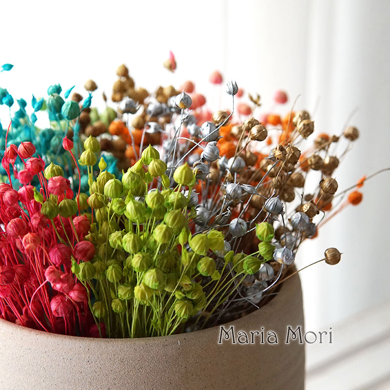 5g Preserved Flax Bean Natural - Dried Flower Bouquet reseña y precio