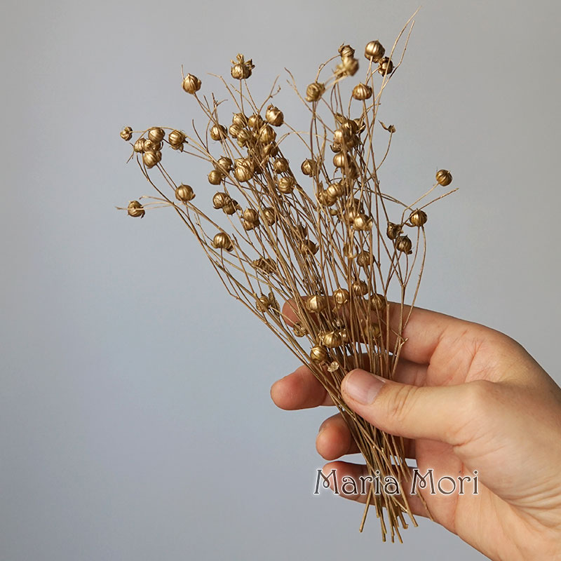 5g Preserved Flax Bean Natural - Dried Flower Bouquet reseña y precio