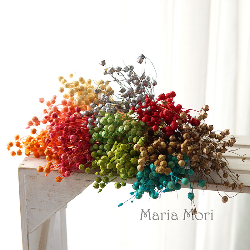 5g Preserved Flax Bean Natural - Dried Flower Bouquet reseña y precio