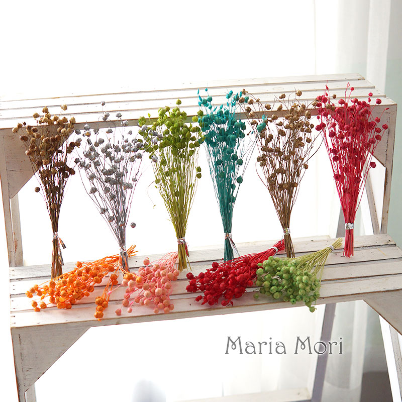 5g Preserved Flax Bean Natural - Dried Flower Bouquet reseña y precio