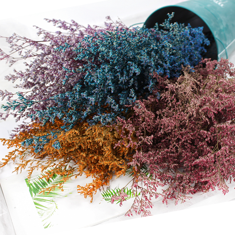 50g/Preserved Valentine's Gras - Dried Flower Bouquet reseña y precio