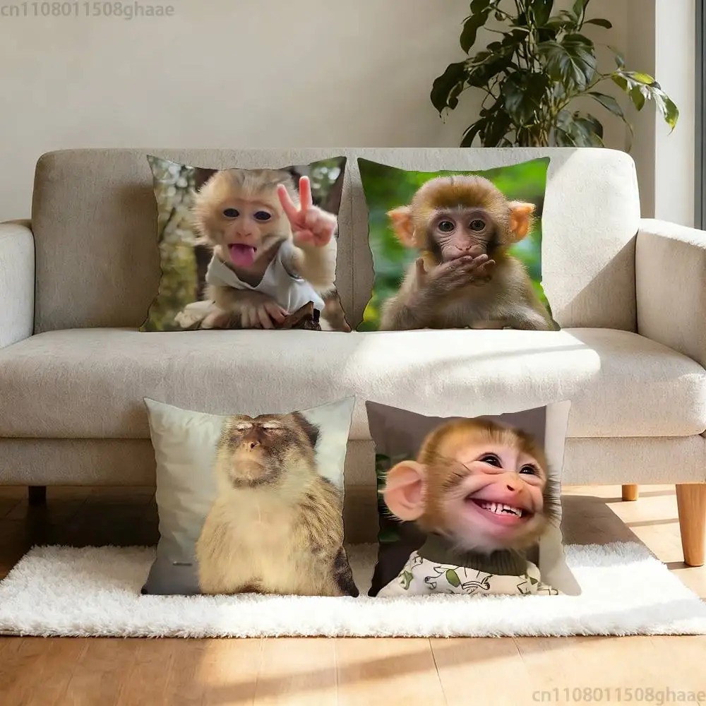 Funny Meme Monkey Cushion Cove - Home Decor Emoji reseña y precio