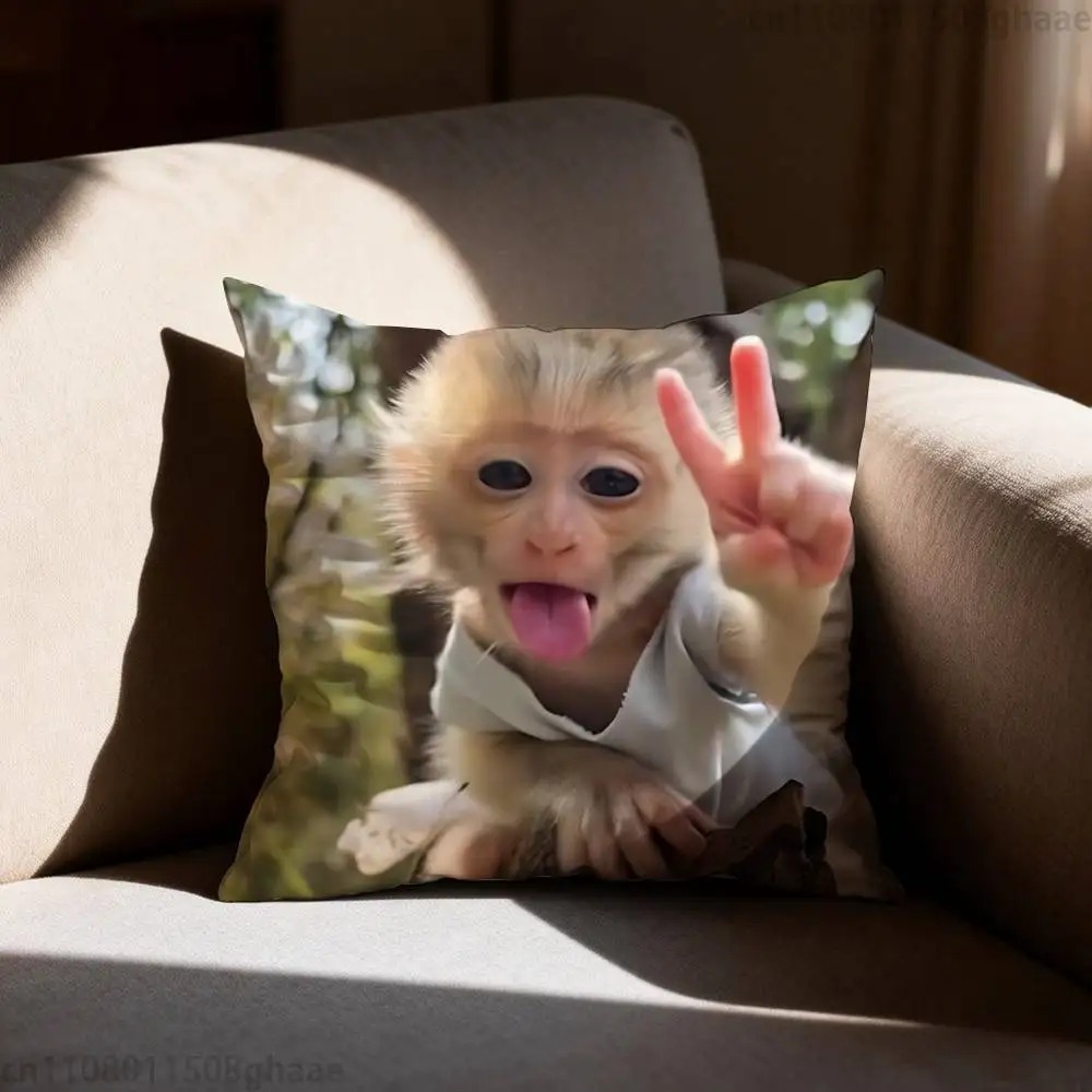 Funny Meme Monkey Cushion Cove - Home Decor Emoji reseña y precio