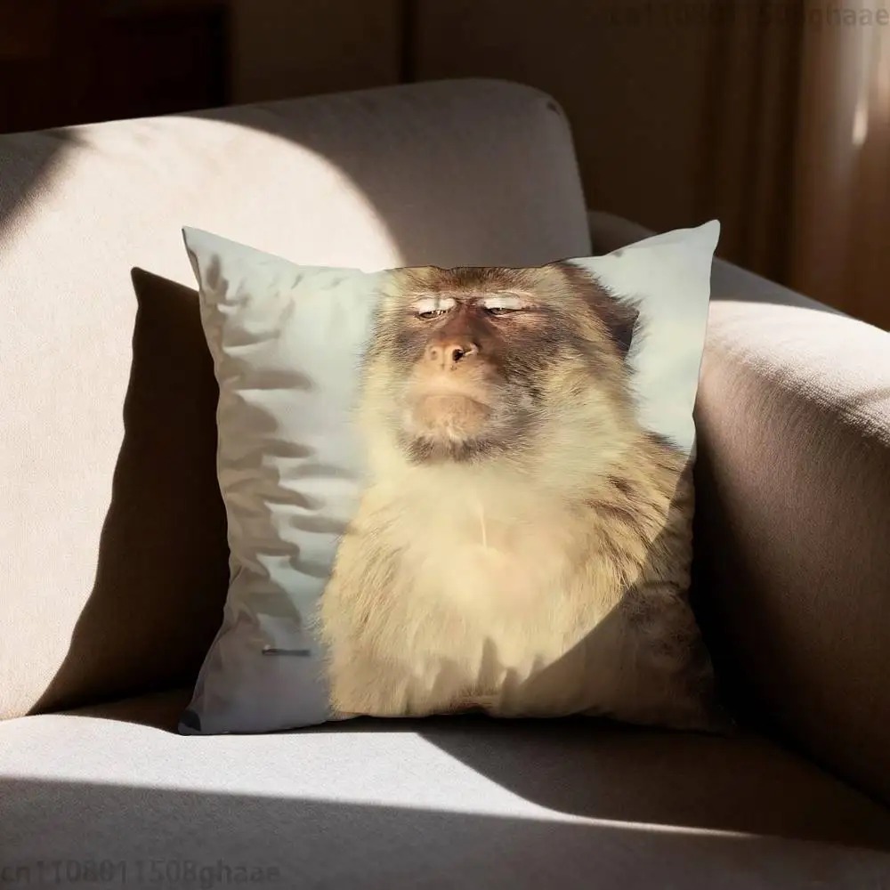 Funny Meme Monkey Cushion Cove - Home Decor Emoji reseña y precio