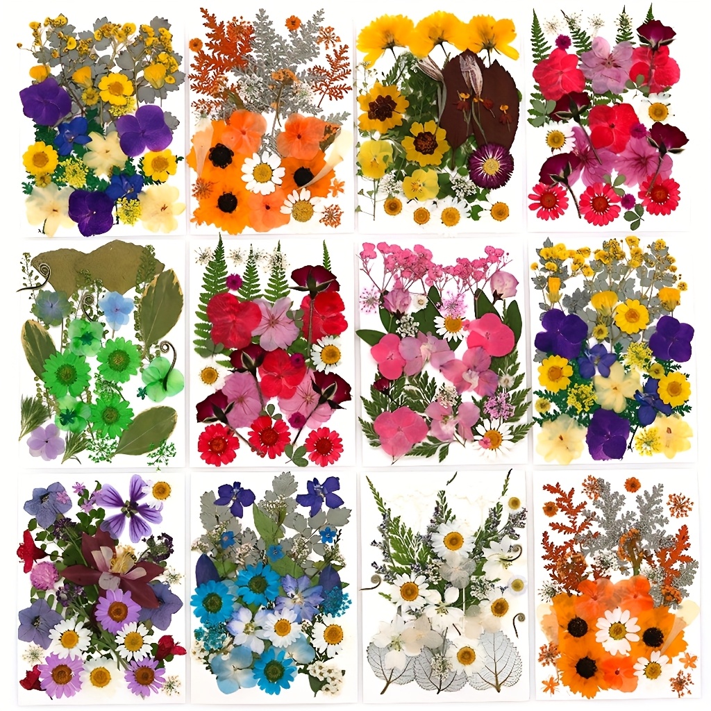 500pcs of Random Materials for - Pressed Flower Frame reseña y precio
