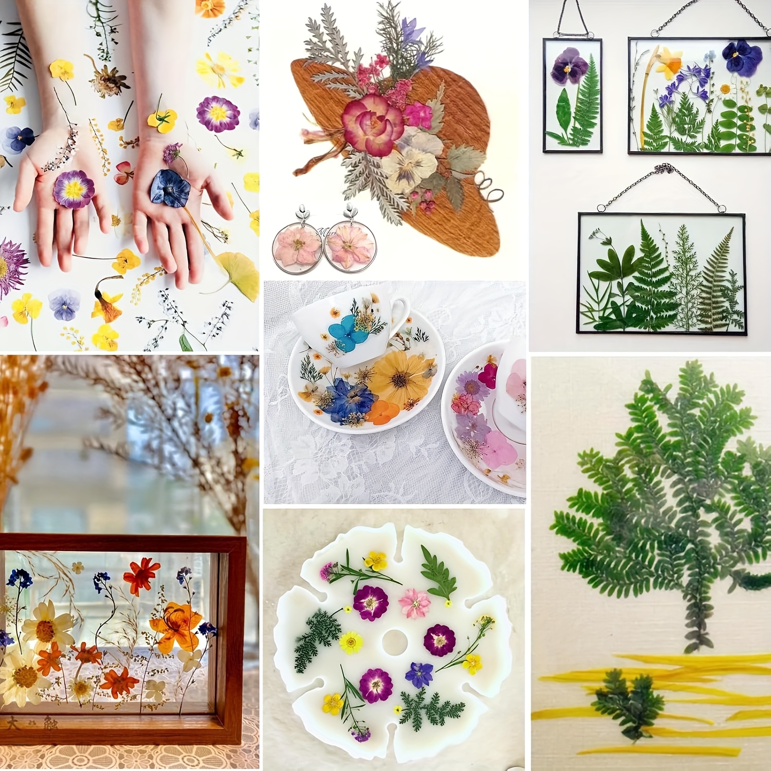 500pcs of Random Materials for - Pressed Flower Frame reseña y precio
