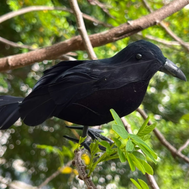 1PC Black Crow Halloween Decor - Home Decor Free reseña y precio