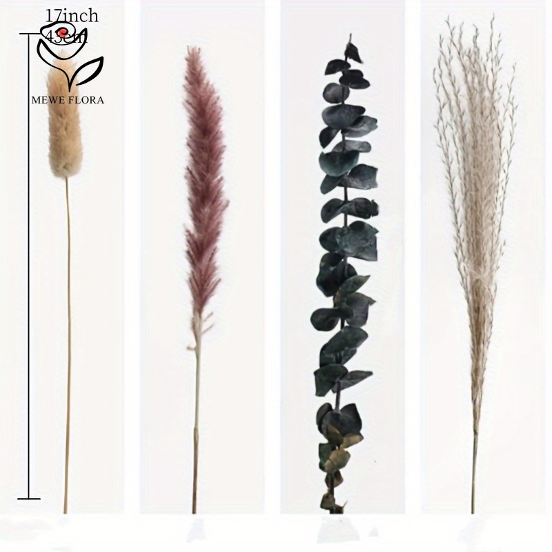 55PCS Elegant Pampas Dried Flo - Dried Flower Bouquet reseña y precio