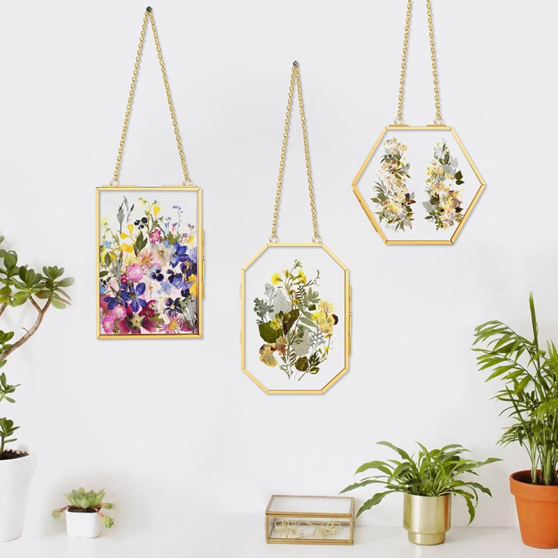 3 Pcs Pressed Flower Frames wi - Pressed Flower Frame reseña y precio