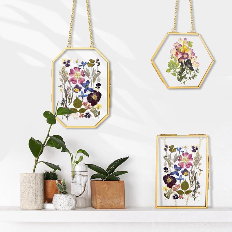 3 Pcs Pressed Flower Frames wi - Pressed Flower Frame reseña y precio