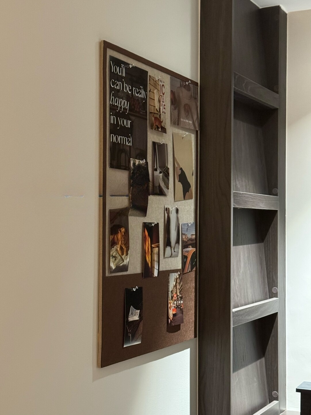 DISPLAY Felt Board for Wall DI - Home Decor Vision Board reseña y precio