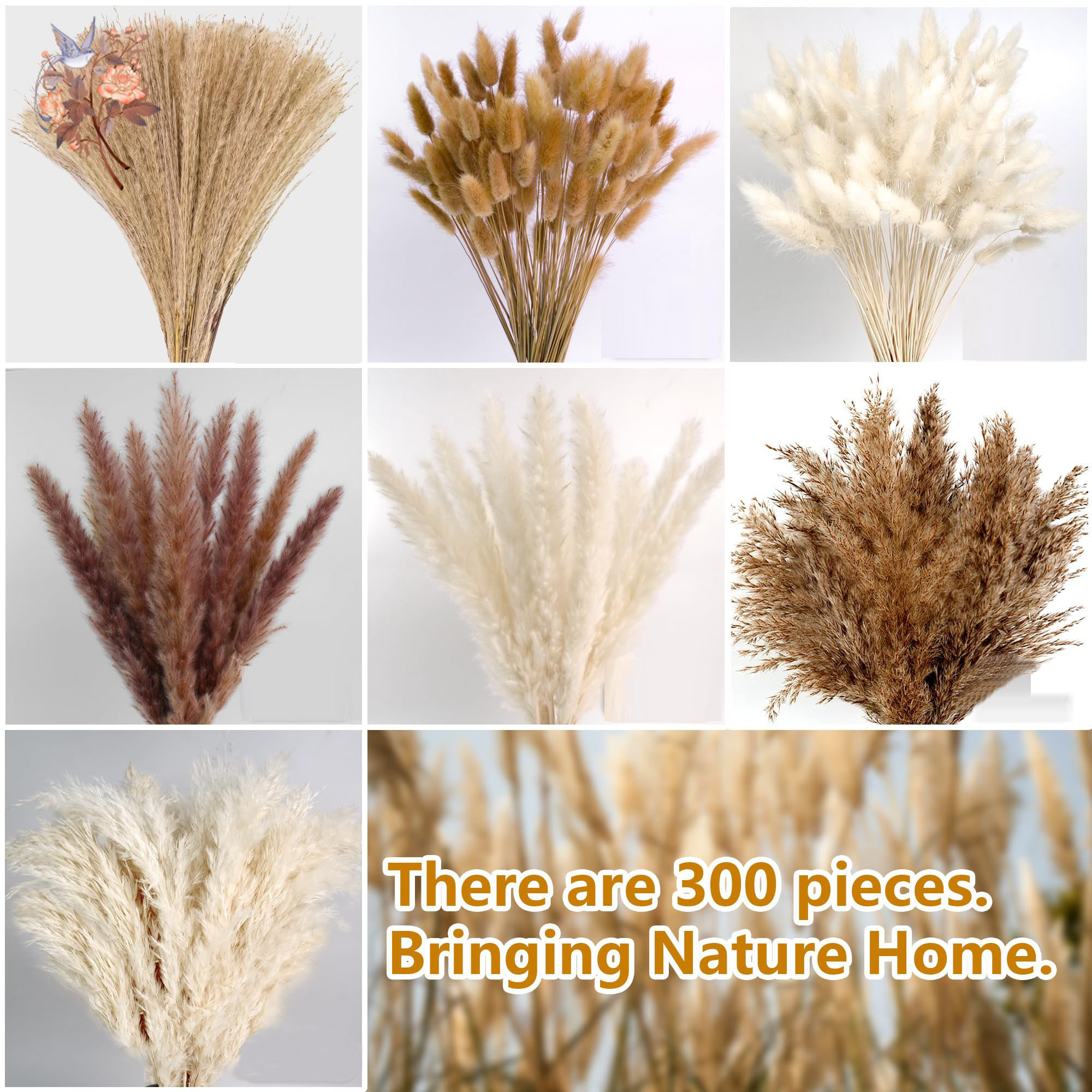 300Pcs Natural Large Pampas Gr - Dried Flower Bouquet reseña y precio