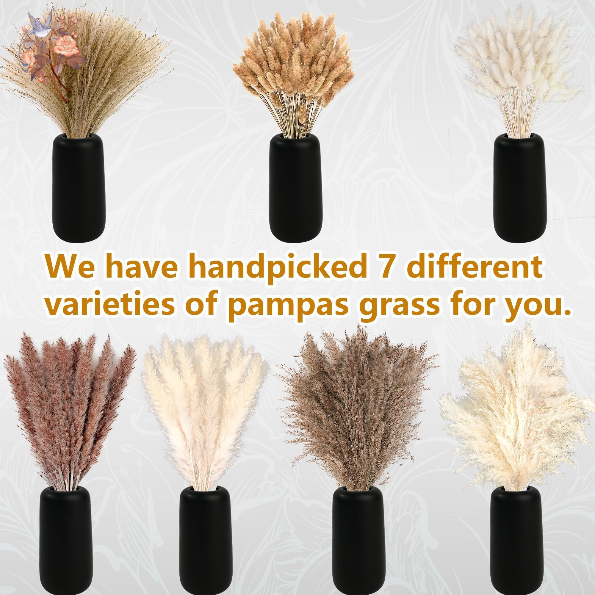 300Pcs Natural Large Pampas Gr - Dried Flower Bouquet reseña y precio