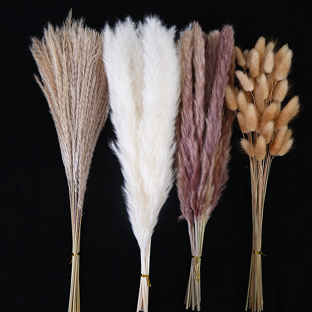Dried Pampas Grass Decor 80-11 - Dried Flower Bouquet reseña y precio