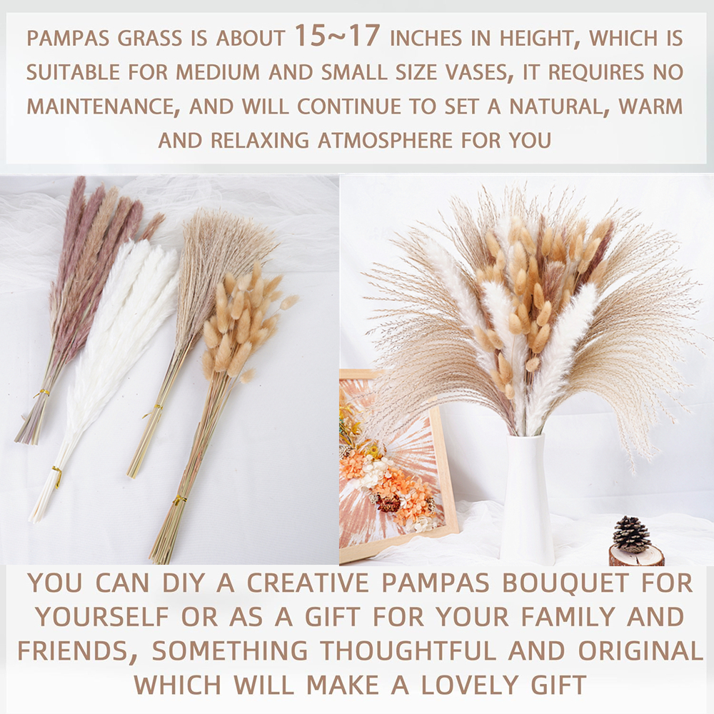 Dried Pampas Grass Decor 80-11 - Dried Flower Bouquet reseña y precio