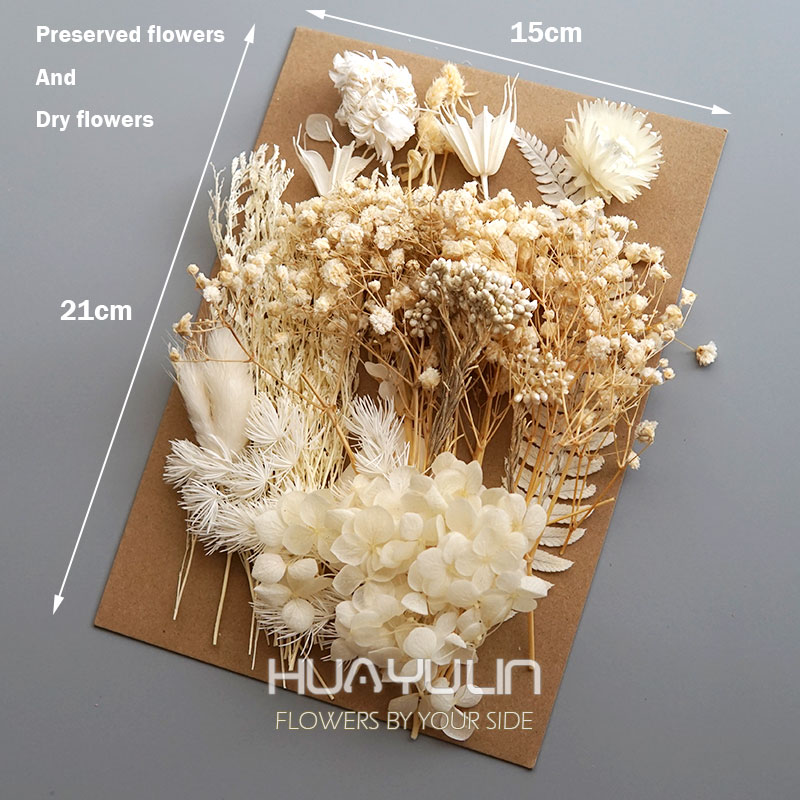 1 Pack Artificial Plants Dried - Dried Flower Bouquet reseña y precio