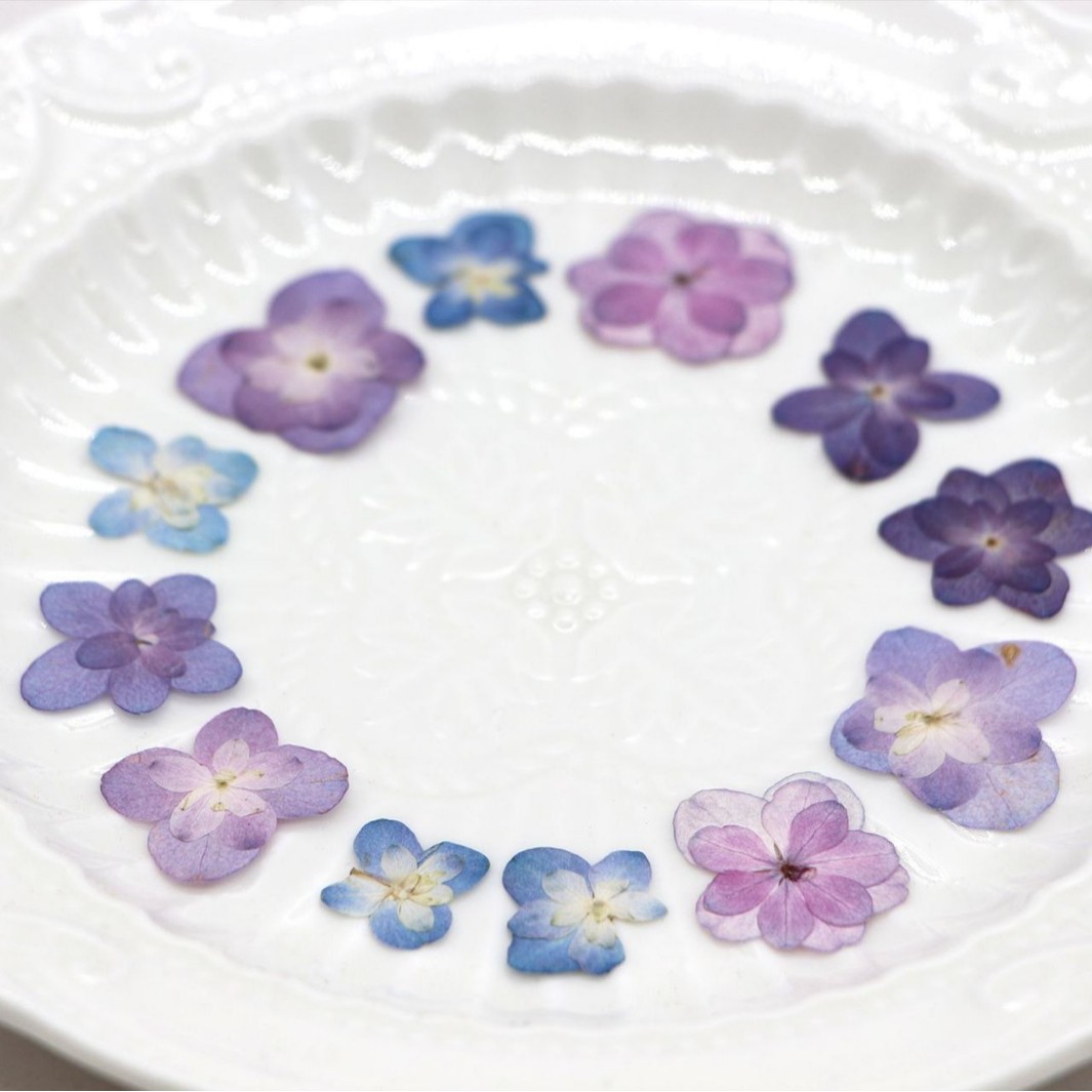 60Pcs Mini Double-Flowered Hyd - Pressed Flower Frame reseña y precio