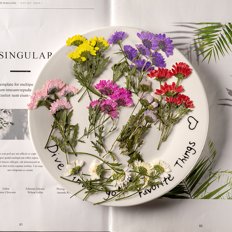 5-8cm/24pcs,Side pressed cryst - Pressed Flower Frame reseña y precio