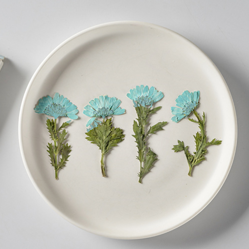 5-8cm/24pcs,Side pressed cryst - Pressed Flower Frame reseña y precio